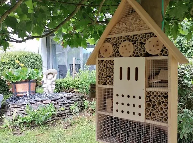 Moselromantik Am Panoramabogen 3* קוכם