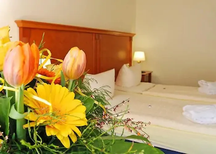 Hotel Moselromantik Am Panoramabogen Cochem